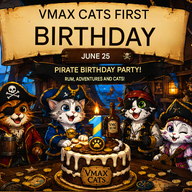 vmax-cats News - VMAX CATS PIRATE FESTIVAL – SCHEDULE (June 25, 2026) 1