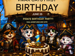 vmax-cats News - VMAX CATS PIRATE FESTIVAL – SCHEDULE (June 25, 2026) 1