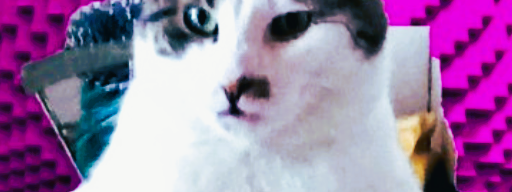 vmax-cats News -  INTRODUCING KIJO — THE VMAX CATS COMMUNITY MEMECOIN  1