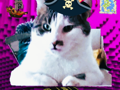 vmax-cats News -  INTRODUCING KIJO — THE VMAX CATS COMMUNITY MEMECOIN  1