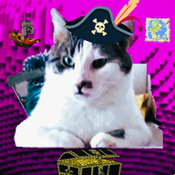 A cat in a pirate hat.