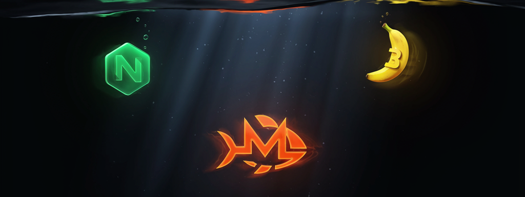 vmax-cats News - Discord Announcement 1