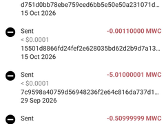 miners-world-coin News - Discord Announcement 1