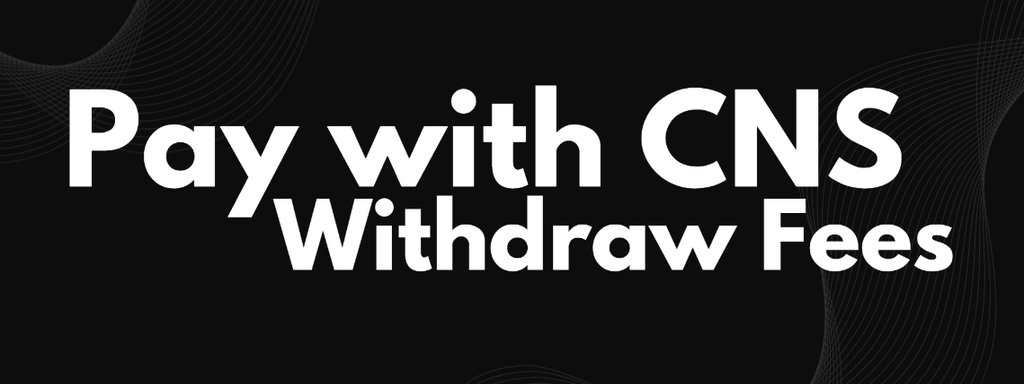 cnspay News - Discord Announcement 1