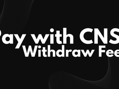 cnspay News - Discord Announcement 1