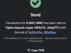 miners-world-coin News - Discord Announcement 1