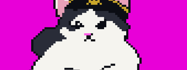 vmax-cats News -  KIJO FAN-ART CONTEST – THE WINNERS ARE HERE!  1
